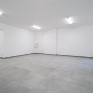 Pronájem ostatního komerčního prostoru 87 m² Kamenice Olešovice, Ringhofferova