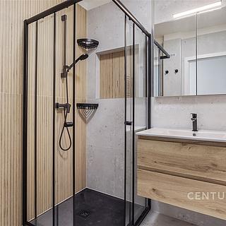 Pronájem bytu 3+kk 62 m² Praha