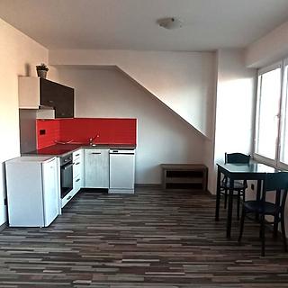 Pronájem bytu 1+kk a garsoniéry 40 m² České Budějovice 3, Riegrova
