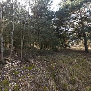 Prodej stavební parcely 1249 m&sup2; Olešná