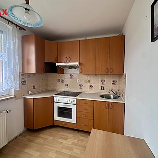 Pronájem bytu 1+1 39 m² Jistebnice, Nad Hřištěm