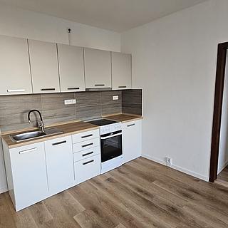 Pronájem bytu 2+kk 43 m² Písek Pražské Předměstí, Vinařického