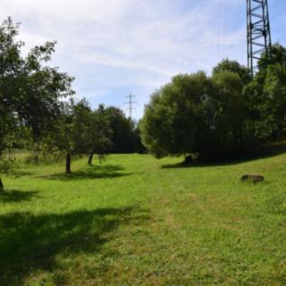 Prodej stavební parcely 8259 m² Kožlí