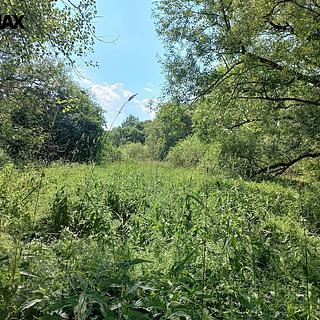 Prodej ostatního pozemku 4 517 m² Vodňany II