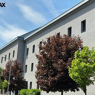 Pronájem kanceláře 65 m² Písek Pražské Předměstí, Vladislavova