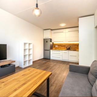 Pronájem bytu 2+kk 43 m² Písek Hradiště, K Háječku