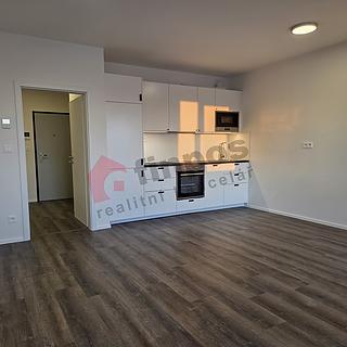 Pronájem bytu 1+kk, garsoniery 36 m&sup2; Olomouc