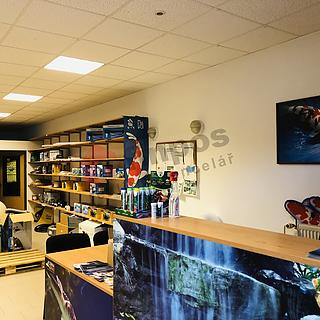 Pronájem obchodu 79 m² Brno Bohunice, Sobolova