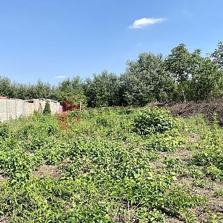 Prodej zahrady 1 325 m² Břeclav, Na Širokých