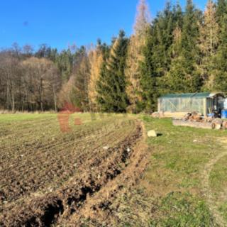 Prodej ostatního pozemku 1 349 m² Libež