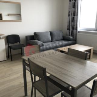 Pronájem bytu 1+kk a garsoniéry 30 m² Slavkov u Brna, Zelnice II.