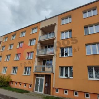 Pronájem bytu 1+1 44 m² Přeštice, Tylova