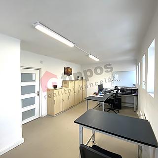 Pronájem kanceláře 20 m² Pětihosty