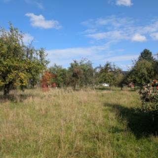 Prodej stavební parcely 1 409 m² Chlumec nad Cidlinou IV, Rooseveltova