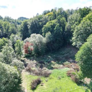 Prodej stavební parcely 3055 m² Zlaté Hory