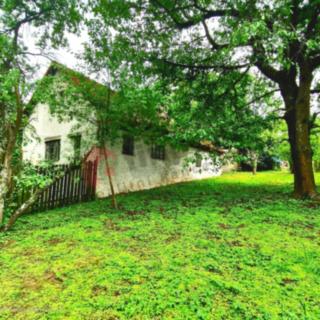 Prodej chalupy 120 m² Neustupov Vrchy