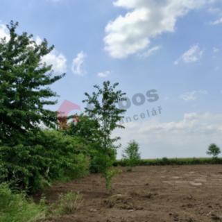 Prodej zahrady 4 174 m² Charváty