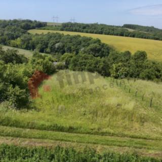 Prodej zahrady 1 240 m² Nížkovice