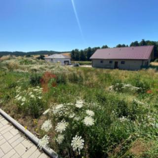 Prodej stavební parcely 845 m² Zvěstov