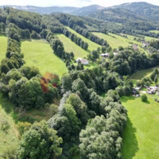 Prodej stavební parcely 3433 m² Písečná