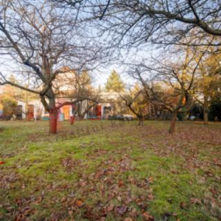 Prodej stavební parcely 1 378 m² Družec