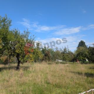 Prodej stavební parcely 707 m² Chlumec nad Cidlinou IV, Rooseveltova