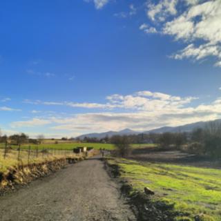Prodej stavební parcely 2 100 m² Bžany