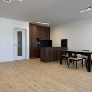 Pronájem bytu 1+kk, garsoniery 46 m² České Budějovice