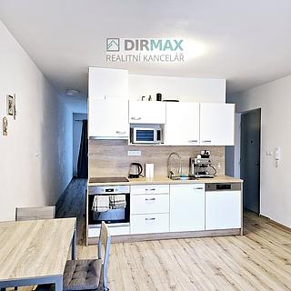 Pronájem bytu 2+kk 45 m² Plzeň Jižní Předměstí, Resslova