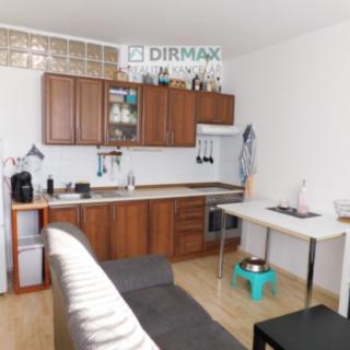 Pronájem bytu 1+1 43 m² Plzeň Skvrňany, Malesická