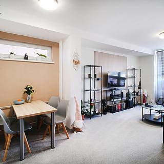 Prodej bytu 2+1 60 m² Ostrava Mariánské Hory, Gen. Janka