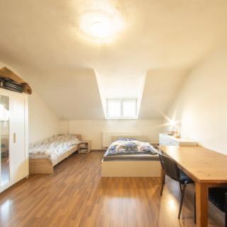 Pronájem bytu 1+1 45 m² Ostrava Mariánské Hory, Mariánské náměstí