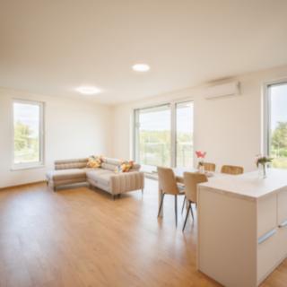 Pronájem bytu 4+kk 131 m² Ostrava Moravská, F. X. Riepla