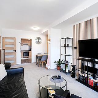 Prodej bytu 2+1 60 m² Ostrava Mariánské Hory, Gen. Janka