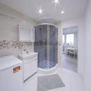 Prodej bytu 1+1 41 m² Ostrava Mariánské Hory, Gen. Hrušky