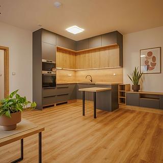 Pronájem bytu 2+kk 50 m² Ostrava Vítkovice, Thomayerova