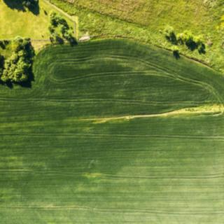 Prodej stavební parcely 1322 m² Velká Polom
