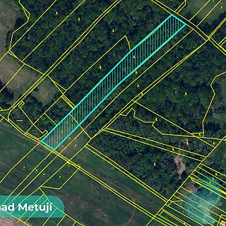Prodej zemědělské půdy 43 749 m² Bohuslavice
