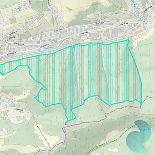 Prodej podílu lesa 30502 m² Vsetín