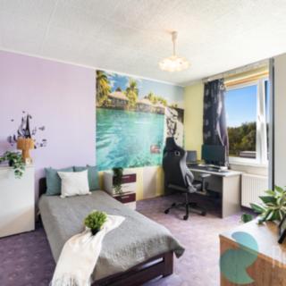Prodej bytu 1+1 40 m² Mladošovice