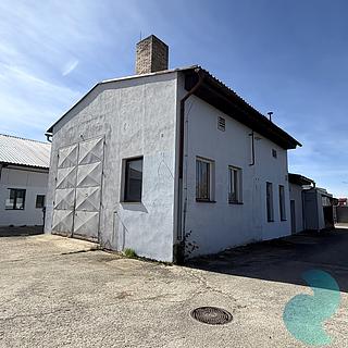 Pronájem Ostatních komerčních prostor 100 m&sup2; Kamenný Újezd