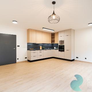 Pronájem bytu 3+kk 88 m² České Budějovice