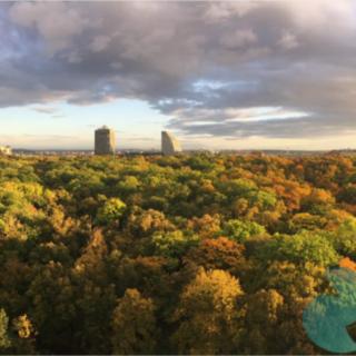 Pronájem bytu 3+kk 95 m² Praha Žižkov, Olšanská