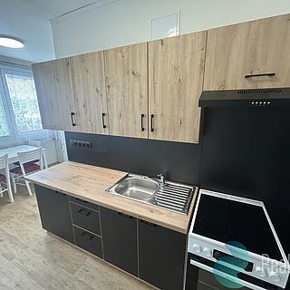 Pronájem bytu 2+1 65 m&sup2; České Budějovice