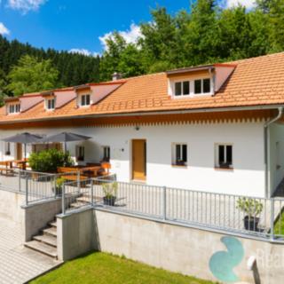 Prodej ostatního komerčního prostoru 302 m² Rožmberk nad Vltavou