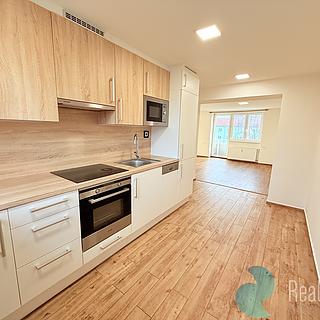 Pronájem bytu 2+1 58 m² České Budějovice