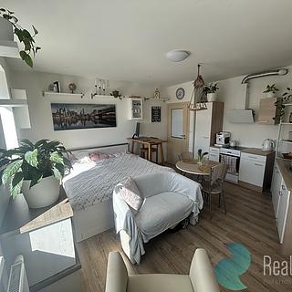 Prodej bytu 1+kk a garsoniéry 33 m² Ševětín, náměstí Šimona Lomnického