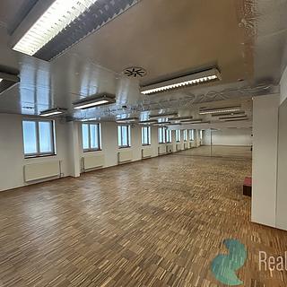 Pronájem ostatního komerčního prostoru 300 m² České Budějovice 2, Husova tř.