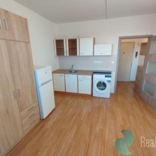 Pronájem bytu 1+kk a garsoniéry 21 m² České Budějovice 3, U Trojice