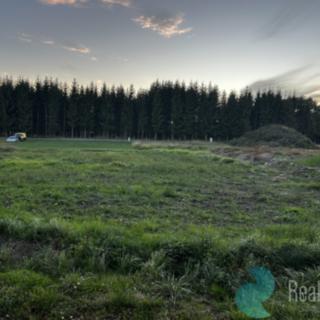 Prodej stavební parcely 972 m² Trhové Sviny, Rejta